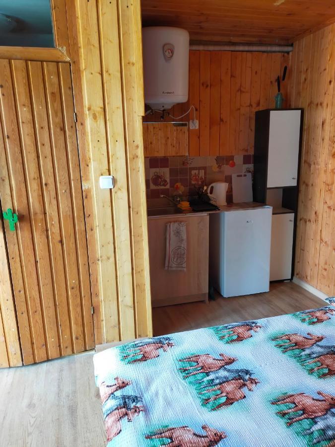 Iza-Pokoje Do Wynajecia Wisełka Eksteriør bilde